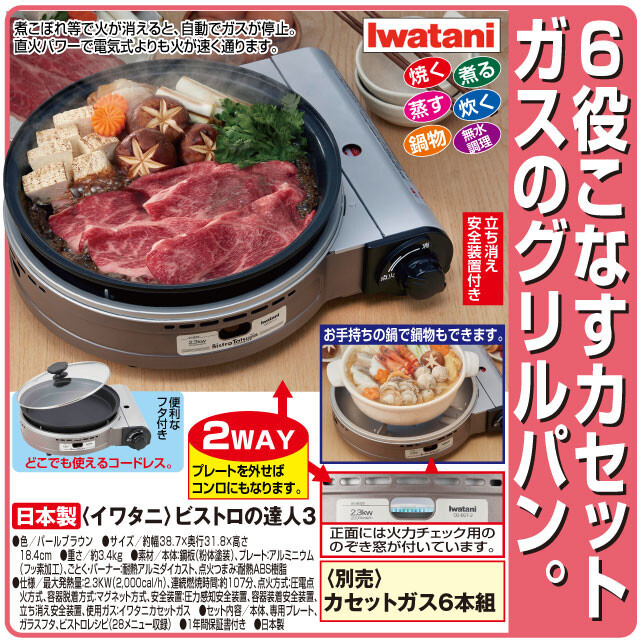 Iwatani カセットフー ビストロの達人III（パールブラウン） CB-BST-3