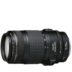EFレンズ キヤノン Canon EF 70-300mm F4-5.6 IS USM フルサイズ対応