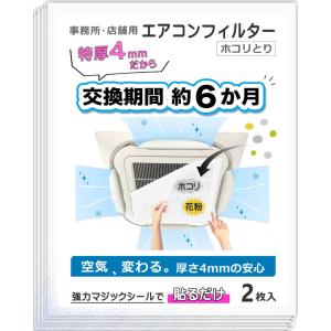 公式】クリーンフィルターIII57サイズ（2枚入り） 業務用 浮遊汚れを
