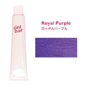 ティントバー ヘアカラー カラーリング ノーブルグレイ 90g : ベリーズ
