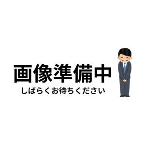 ReFa（リファ） 【ラッピング可】【新古品】MTG ReFa ビューテック