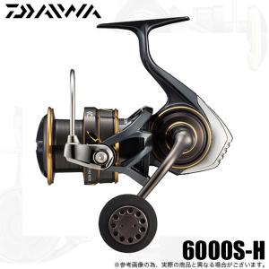 DAIWA（ダイワ） 【目玉商品】ダイワ 24 剛徹 遠投 8-51遠投・K (磯竿