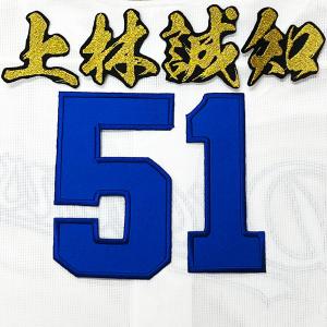 ☆送料無料☆中日 ドラゴンズ 上林誠知 背番号 & 勘亭流 ホーム 応援