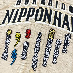 ☆送料無料☆横浜 DeNA ベイスターズ 梶原昂希 応援歌 黒 応援 刺繍