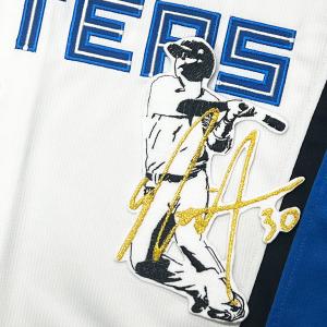 ☆送料無料☆北海道 日本ハム ファイターズ 日ハム 達孝太 シルエット