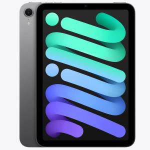 Apple iPad mini 第7世代 Wi-Fi 256GB MXNC3JA ブルー【お取り寄せ（1