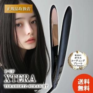 P-UP エクステラ ケミストリー テラヘルツ シルクコート ブラック
