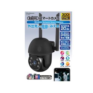 SD1000 REVEX SDカード録画式センサーカメラ : タロトデンキ - 通販