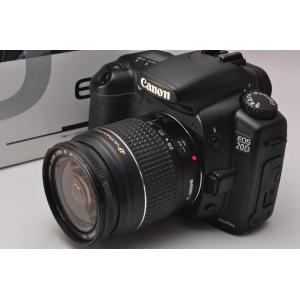 キヤノン（Canon） Canon EOS kiss X5 レンズセット 動画撮影 SDカード