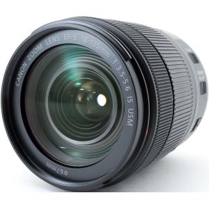 キヤノン（Canon） 望遠レンズ 未使用品 保証 EF-S 55-250mm F4-5.6 IS