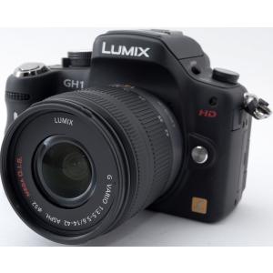 LUMIX パナソニック ミラーレス Panasonic DMC-G2 レンズキット レッド