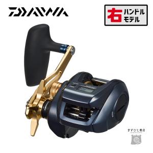 DAIWA（ダイワ） 21ソルティガ IC 300H-SJ カウンター付リール