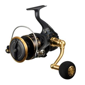 DAIWA（ダイワ） スピニングリール 22 CALDIA(カルディア) SW 8000-P