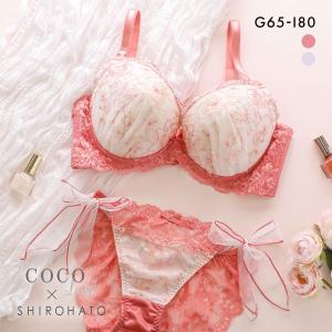 pgブラのおすすめ人気商品一覧 通販 - Yahoo!ショッピング