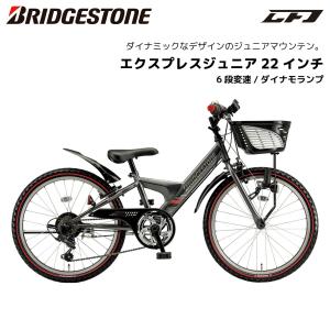 BRIDGESTONE（ブリヂストン） 子供用自転車 レベナ 18インチ LV181