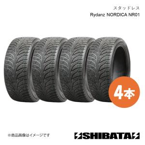 NANKANG（ナンカン） 4本セット 165/55R15 スタッドレスタイヤ AW-1