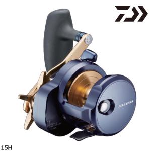 DAIWA（ダイワ） 25 ソルティガ 300H 右ハンドル (2025年モデル