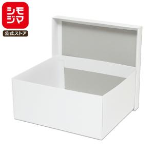 HEIKO（ヘイコー） ☆爆買☆ギフト ボックス 10枚 白無地箱 カバン箱 C