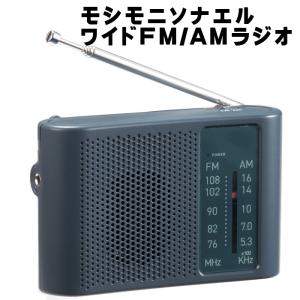 Panasonic（パナソニック） レトロラジオ ラジオ am fm 大音量 選局