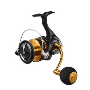 DAIWA（釣り） 23 レグザ LT5000-CXH スピニングリール - 最安値・価格