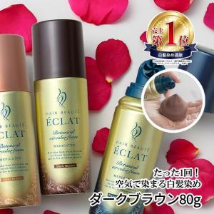 大容量 ヘアボーテエクラ ボタニカル エアカラーフォーム EX ダーク