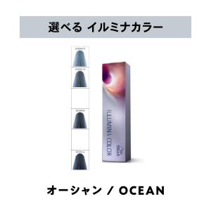 香草カラーGREY バーントブラウン 300g(100g×3) 医薬部外品 : サロン