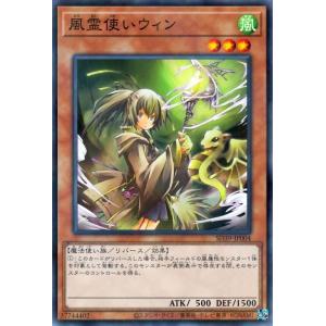 遊戯王オフィシャルカードゲーム デュエルモンスターズ 遊戯王カード