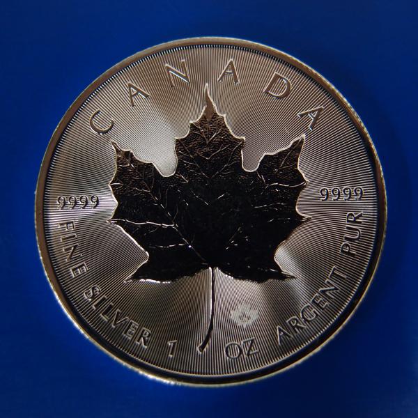 goldtohki_2402200014