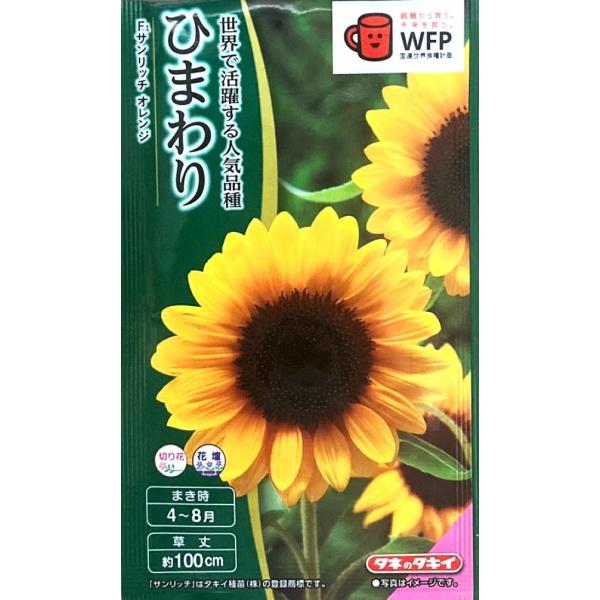 花種子 ひまわり F1サンリッチ オレンジ タキイ種苗のタネ : Gardener