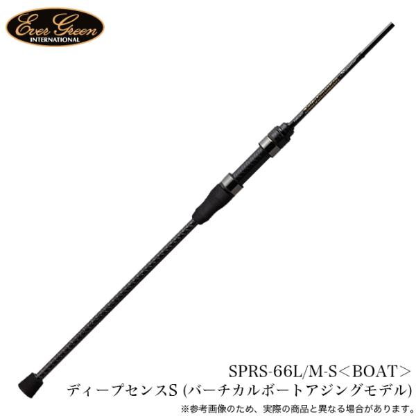 5)エバーグリーン ソルティーセンセーション スペリオル SPRC-66L/M-S