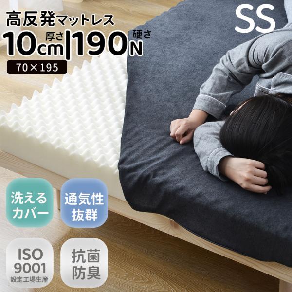 felizlar_n511p235129