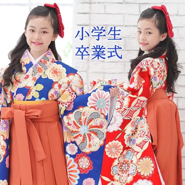 kyotorurihinagiku_10245