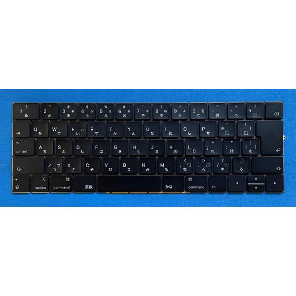 hanashinshop_0155470