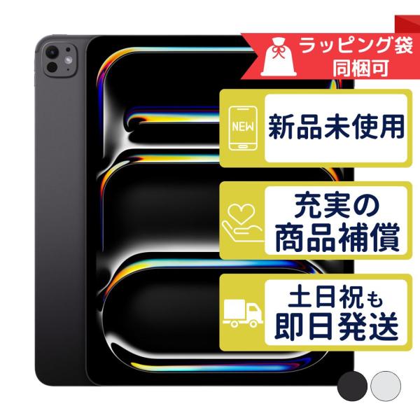 Wi-Fi Pro 11インチ　256GB iPad M4