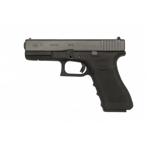 mokei-paddock_604226