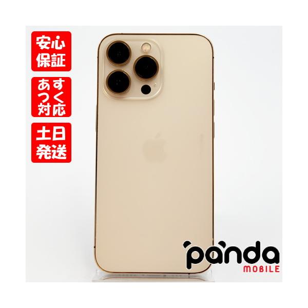 panda-mobile_13pro-256-go-sim-c2