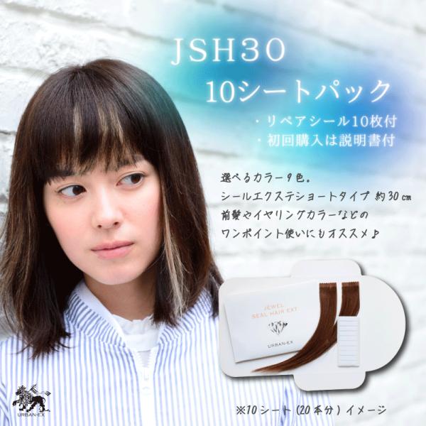 シールエクステ 約27〜30cm 10シート(20〜40本分) 人毛エクステ