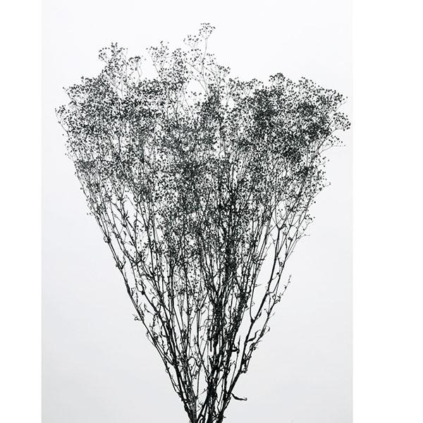 プリザーブドフラワー 花材 即日出荷 ミニカスミ草 黒ラメ かすみ