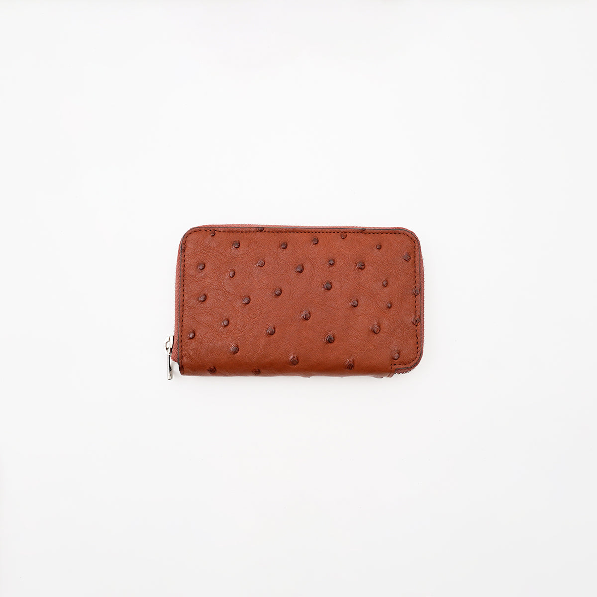CRISTY SMART MID WLT .5 / OSTRICH（オーストリッチ）| 本革