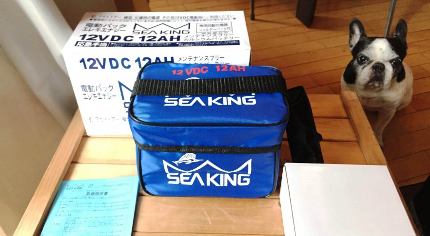 電動リール用の鉛バッテリーを紹介】タチウオテンヤなら鉛バッテリー