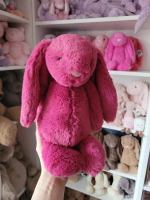 Bashful Rose Bunny - Medium Jellycat | Jelly Journal