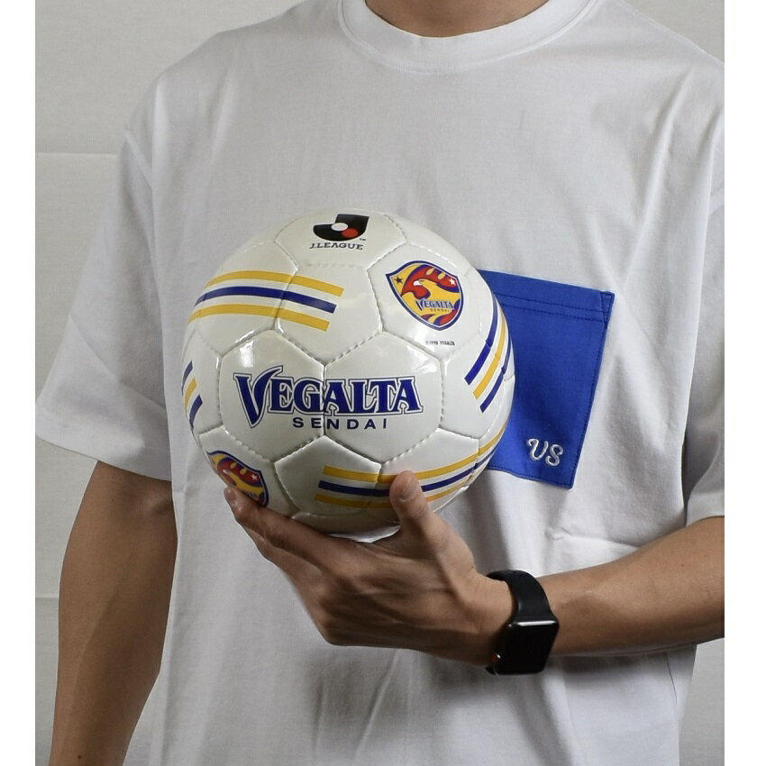 ベガルタ仙台 サッカーボール4号球 ベガルタ仙台｜【公式】Jリーグ