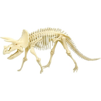 55481 化石発掘キット トリケラトプス 1個 アーテック[学校教材・教育