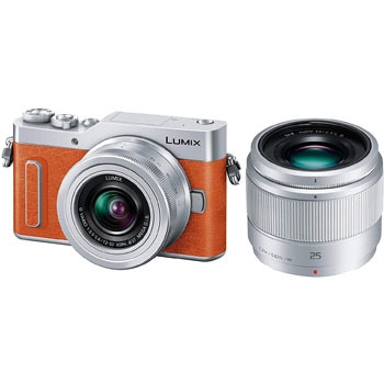 DC-GF10W-D LUMIX DC-GF10W ミラーレス一眼カメラ ダブルレンズキット