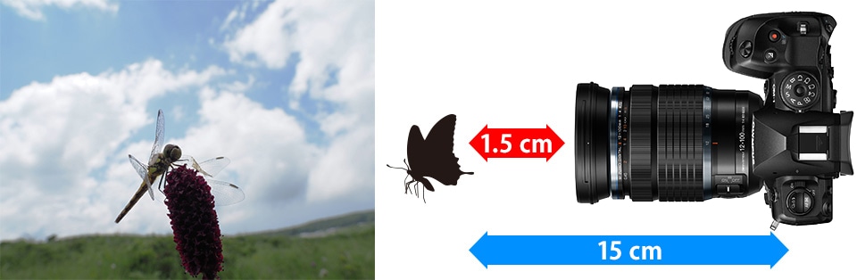 製品特長｜M.ZUIKO DIGITAL ED 12-100mm F4.0 IS PRO｜M.ZUIKO PRO