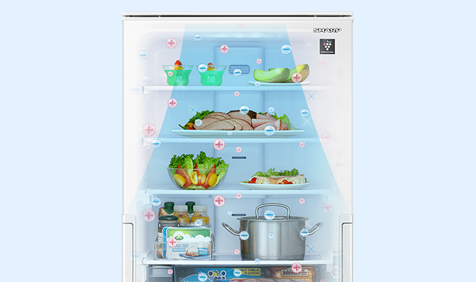 冷蔵室 | SJ-P410M | 冷蔵庫：シャープ