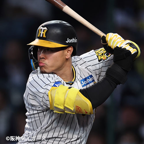 ミズノブランドアンバサダー 契約選手(NPB)｜選手情報｜ミズノ公式