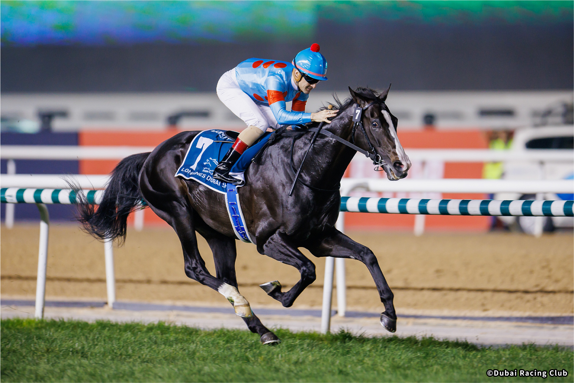 レース概要｜レース情報：2025年ドバイシーマクラシック 海外競馬発売 JRA