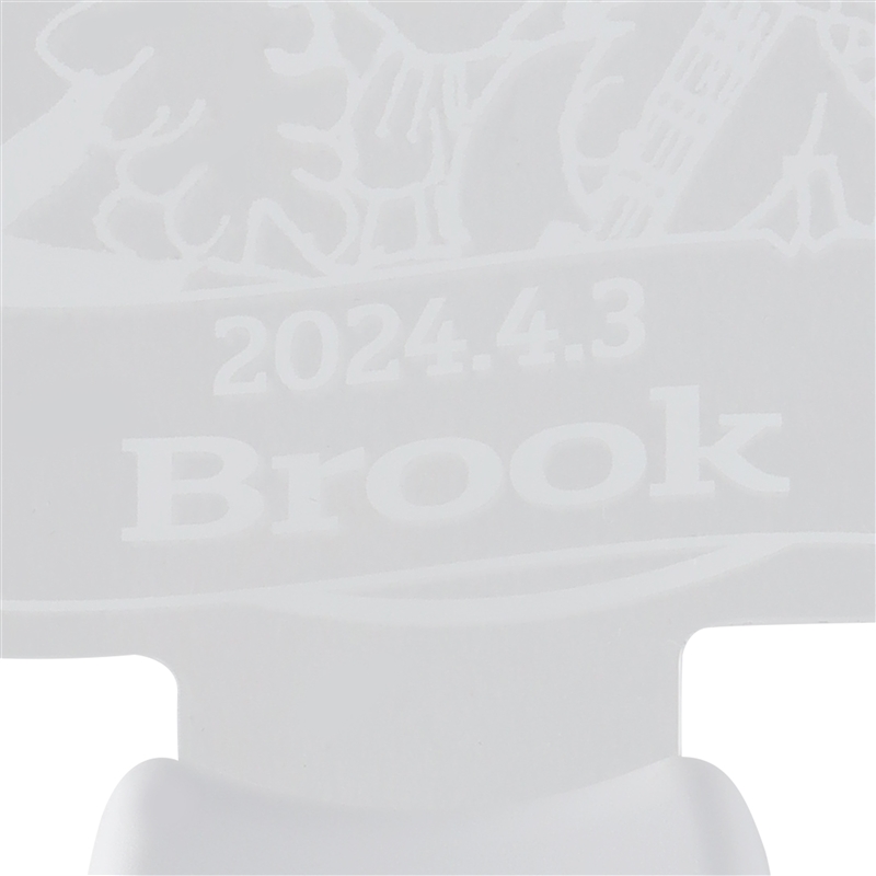 ONE PIECE』バースデイペンライト ブルック （JCS限定