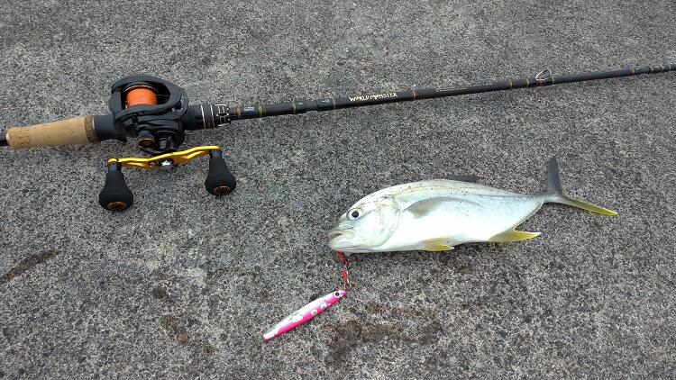 アブガルシアのパックロッド ワールドモンスターWMCC-654M MGS実釣